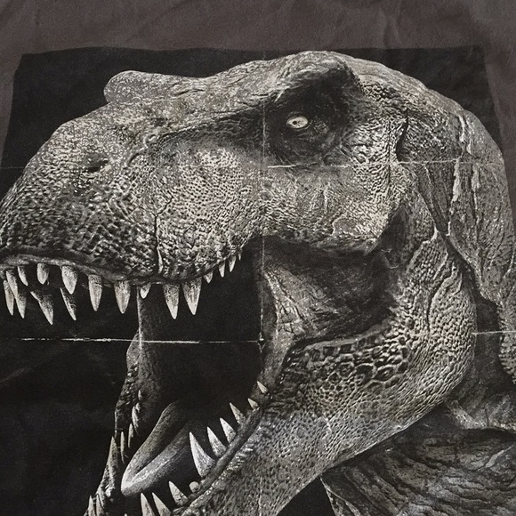 Boys Jurassic Park Screen T-Shirt - Picture 4 of 5